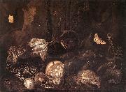 SCHRIECK, Otto Marseus van Still-Life with Insects and Amphibians ar oil painting picture wholesale